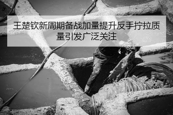 王楚钦新周期备战加量提升反手拧拉质量引发广泛关注